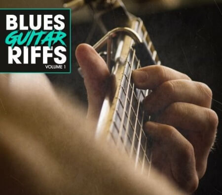 New Beard Media Blues Guitar Riffs Vol 1 WAV